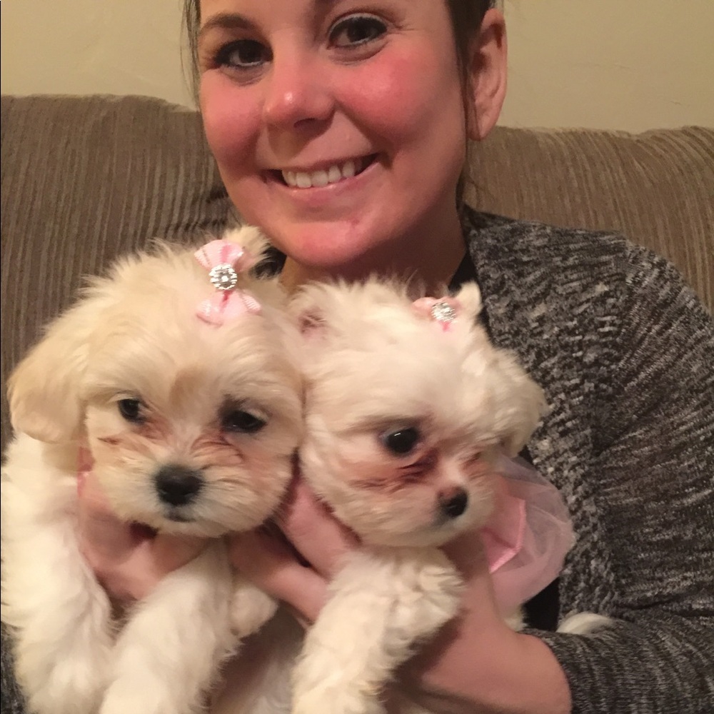 Meet your Posher, Brittny